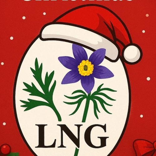 Frohe Feiertage und einen guten Start in das Neue Jahr 2026